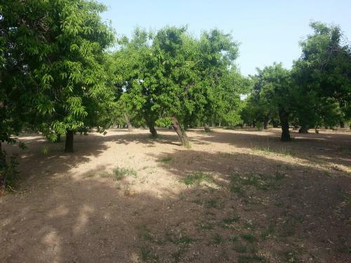 Agroturismo A Lumia