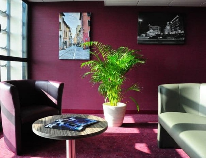 Hotel Comfort Suites Lyon Est Eurexpo