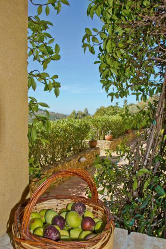 Agroturismo Borgo Riccio