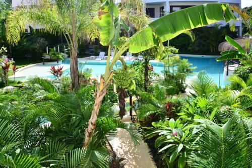 Hotel Intima Resort Tulum Adults Only (clothing Optional)
