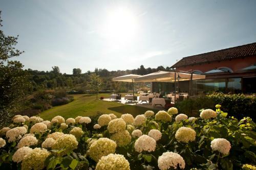 Hotel Relais Villa D'amelia