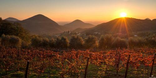 Bed & Breakfast La Busa Dell'oro