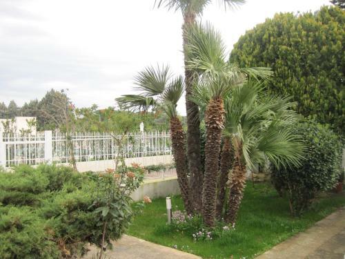 Santos B&B