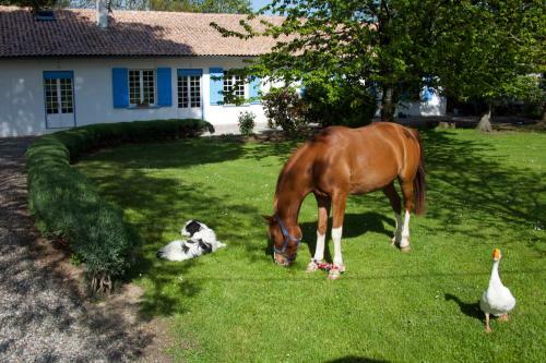 Bed & Breakfast Chambres D'h�tes La Maison Blanche