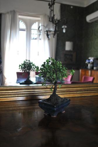 Bed & Breakfast Hotel Relais 900