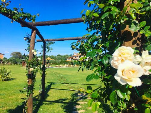 Bed & Breakfast Casale La Rovere