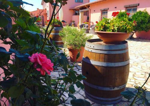 Bed & Breakfast Casale La Rovere