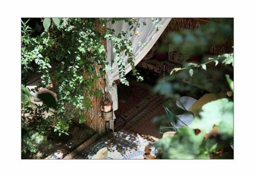 Riad Maryam Taroudant