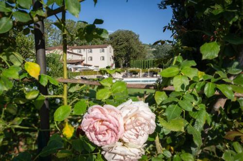 Bed & Breakfast Villa Pitti Amerighi - Residenza D'epoca