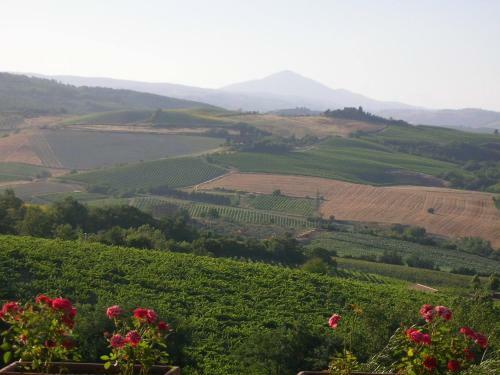 Hotel Altarocca Wine Resort