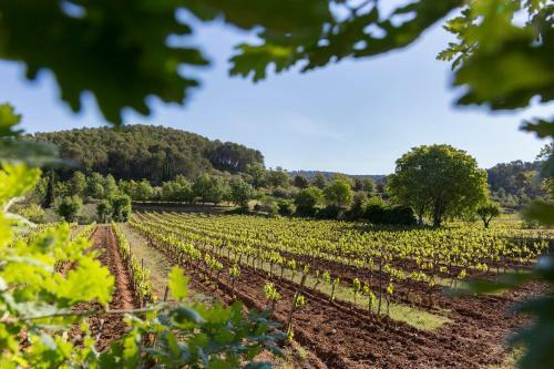 Bed & Breakfast Domaine Du Clos D'alari