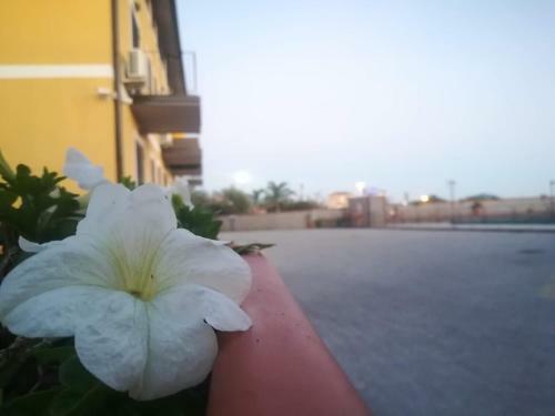 Bed & Breakfast I Colori Dell'etna