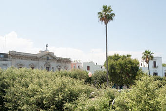 Hostal A San Domenico N 80