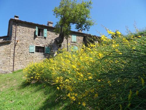 Agroturismo Ca' Scheta