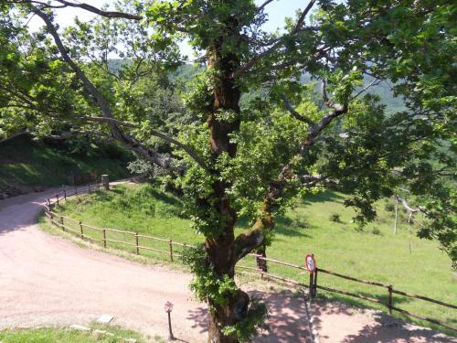 Agroturismo Ca' Scheta