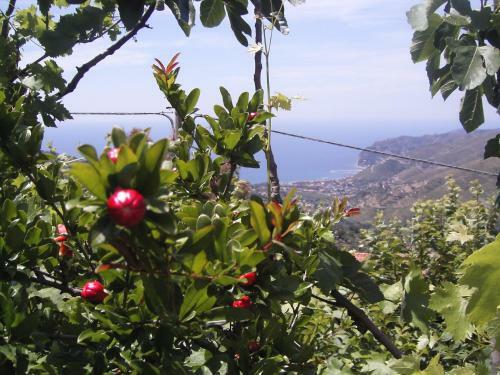 Bed & Breakfast Cilento