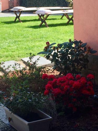 Bed & Breakfast Casa Rosa