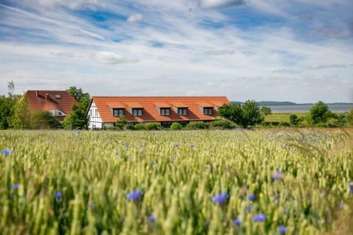 H.w.s. Hotel Der Wilde Schwan