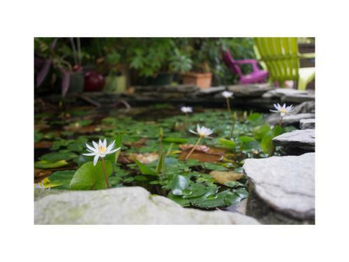 Bed & Breakfast Palm Beach Hibiscus