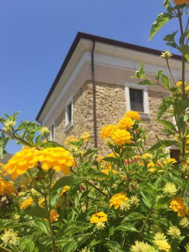 Bed & Breakfast Casale Tiano