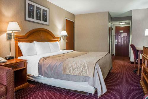 Hotel Comfort Inn Meadowlands