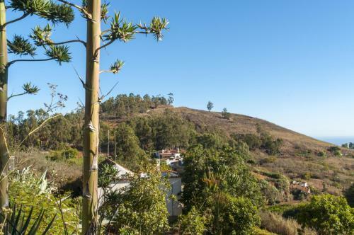 Los Bermejales