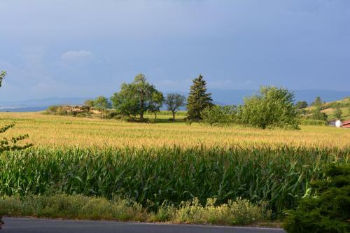 Bed & Breakfast Chambre D'h�tes La Paravent