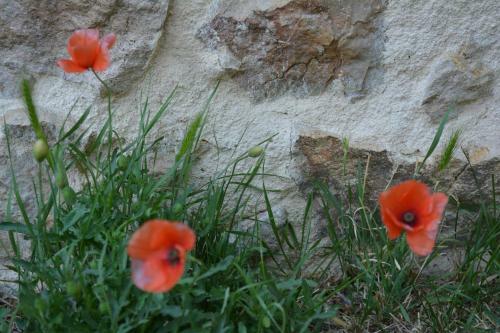 Bed & Breakfast Chambre D'h�tes La Paravent