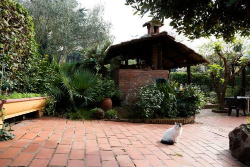 L'acchiappasogni Bed And Breakfast