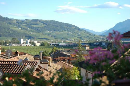B&B Pedelmont
