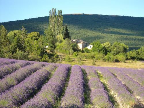 Hostal Maison D'h�tes La Honas
