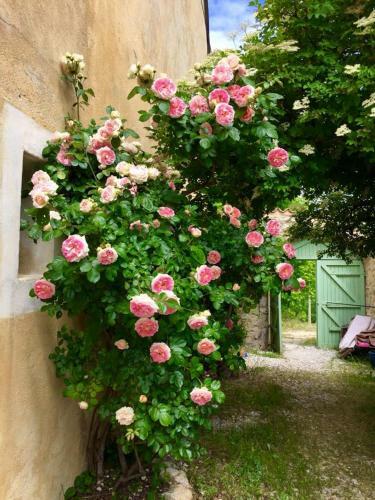 Hostal Maison D'h�tes La Honas