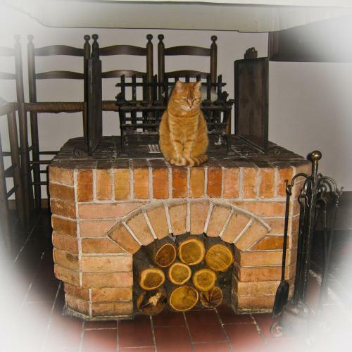 D'orsaria B&B And Wines