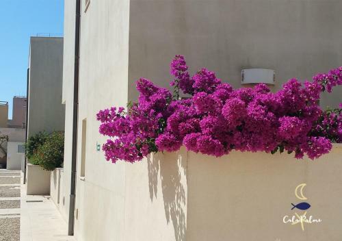 Apartamento Cala Palme