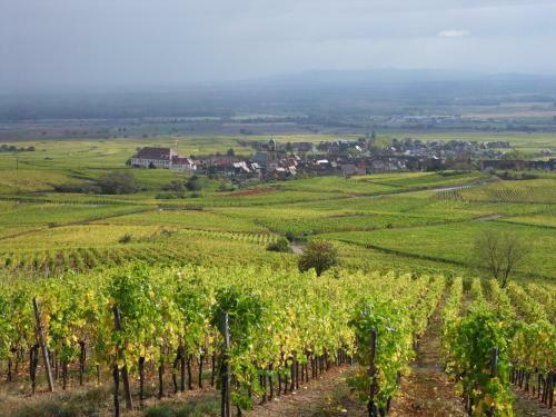 Hotel Val-vignes