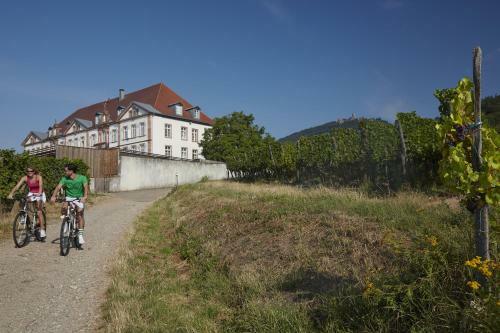 Hotel Val-vignes