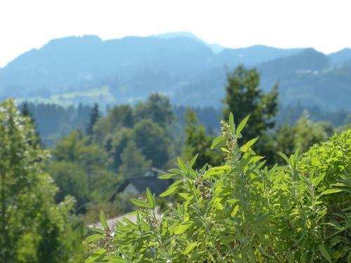 Apartamento Ferienwohnung Kratzer