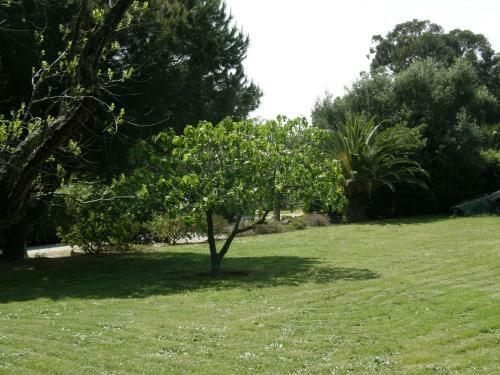 Villa La Restanque