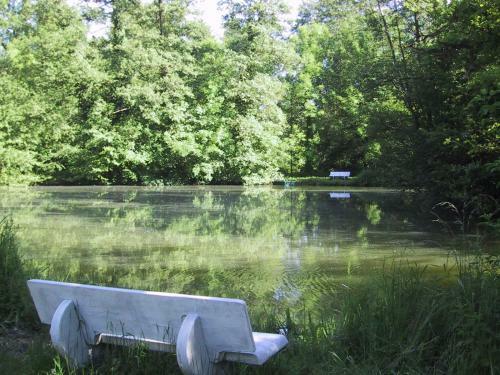 Bed & Breakfast Domaine De L'etang