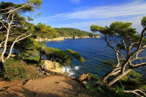 Bed & Breakfast Chambres D'h�tes Le Regent