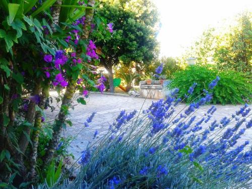 B&B Santa Sabina