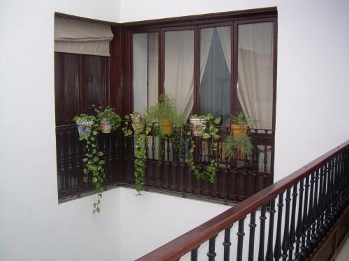 Agroturismo Casa Rural Mesones