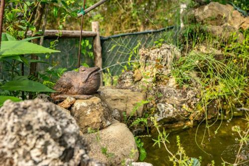 Agroturismo Villa Nigro