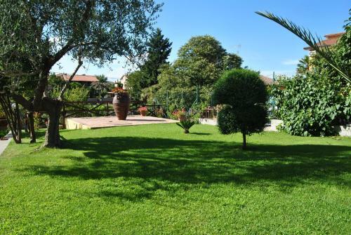 Hotel Nespolo D'oro