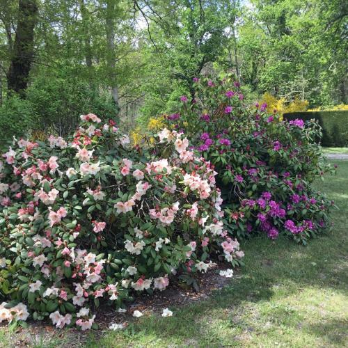 Bed & Breakfast Chambres D'h�tes La T�oul�re