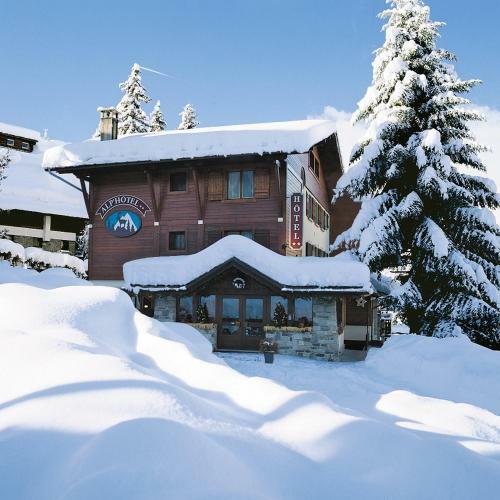 Hotel Alp-h�tel