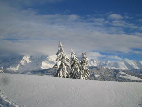 Hotel Alp-h�tel