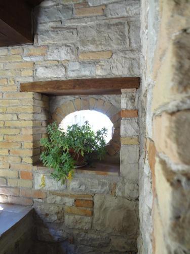 Bed And Breakfast Pa' Carrera