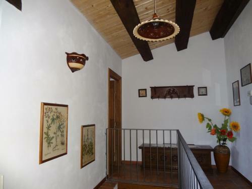 Bed And Breakfast Pa' Carrera