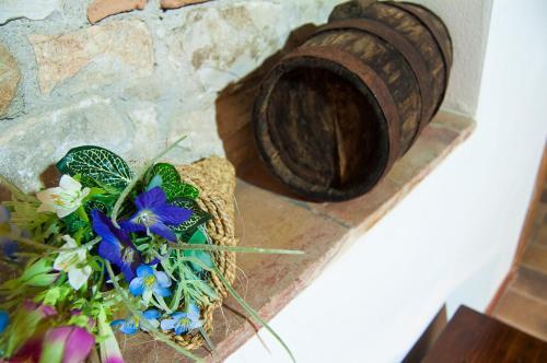 Bed And Breakfast Pa' Carrera